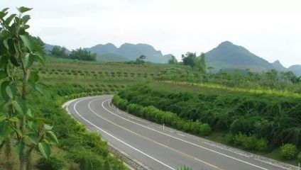 道路建設中的邊坡修復策略與應用